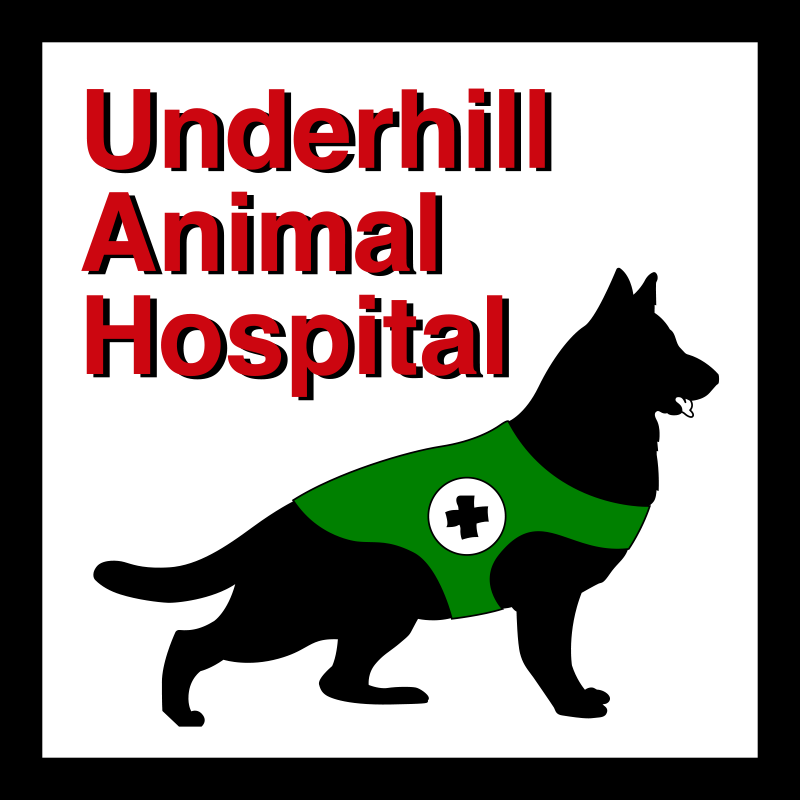 Underhill Animal Hospital